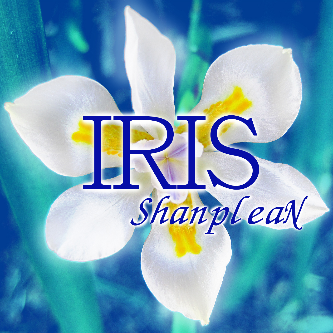 ShanpleaN IRIS画像